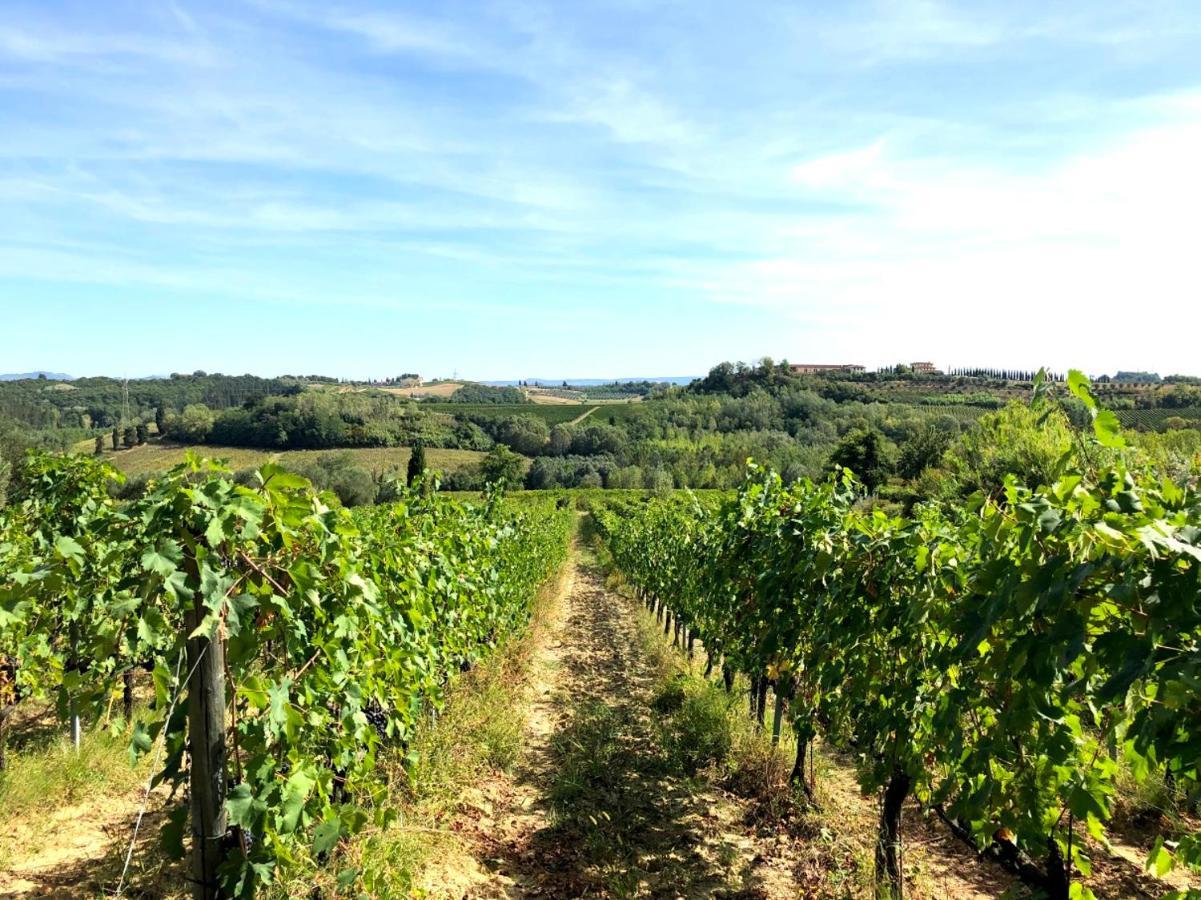 OrciaticoLa Ginestra - Terrazza公寓 外观 照片